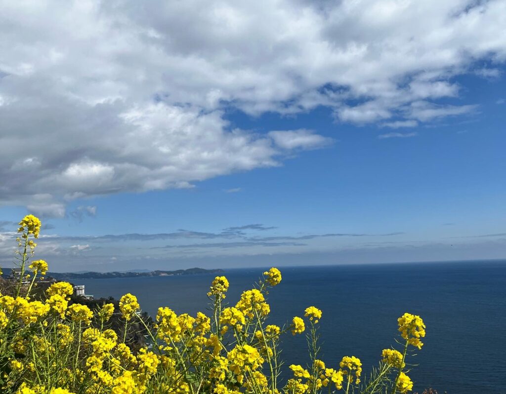 青空