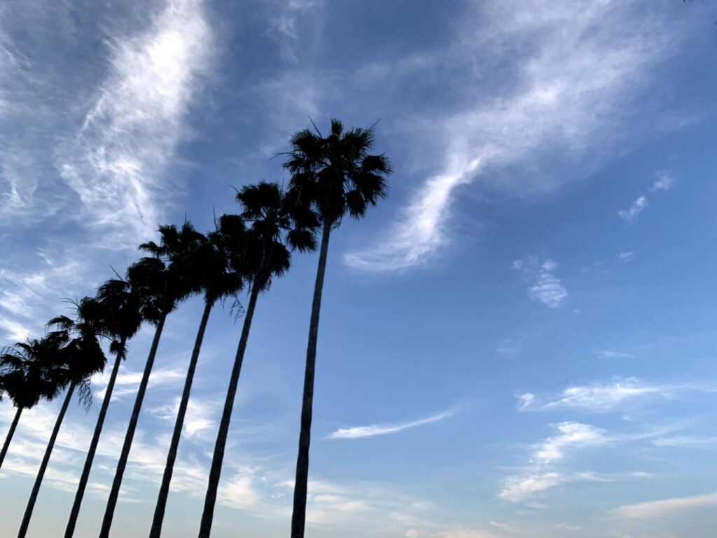 晴れ渡った空